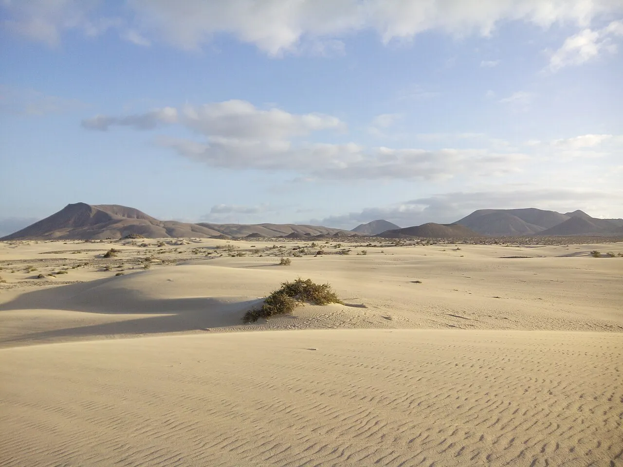 Fuerteventura Island Tour