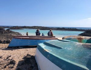 Explore Lobos Island with Lobos Explorer
